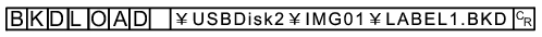 Command example - BKDLOAD