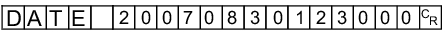 Command example - DATE