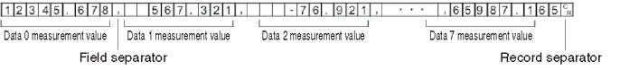 Illustration of ASCII data output format