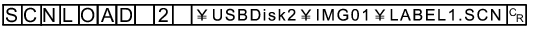 Command example - SCNLOAD