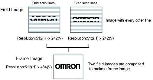 Description of Frame Images and Field Images