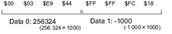 Illustration of binary data output format
