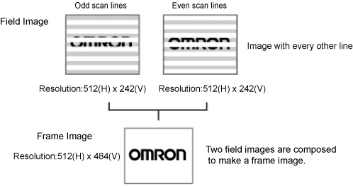 Description of frame images and field images